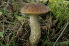 0200dspi-cb70-178x118.png