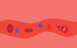 0200dtew-1316-157x98.gif