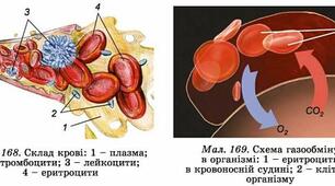  Транспорт речовин, 1 - варіант, КПР