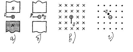 0200duza-568a.png