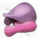 0200dxgx-f295-141x133.png