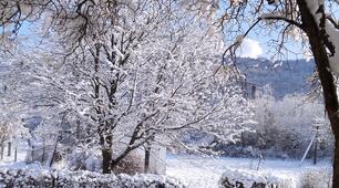 Завтра перший зимовий день❄️