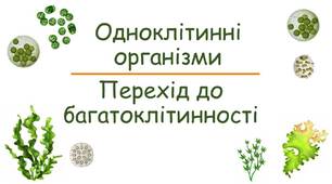 (Копія) (Копія)  Одноклітинні організми. Перехід до багатоклітинності.