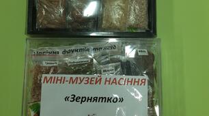 Міні-музей насіння на тему: "Зернятко"