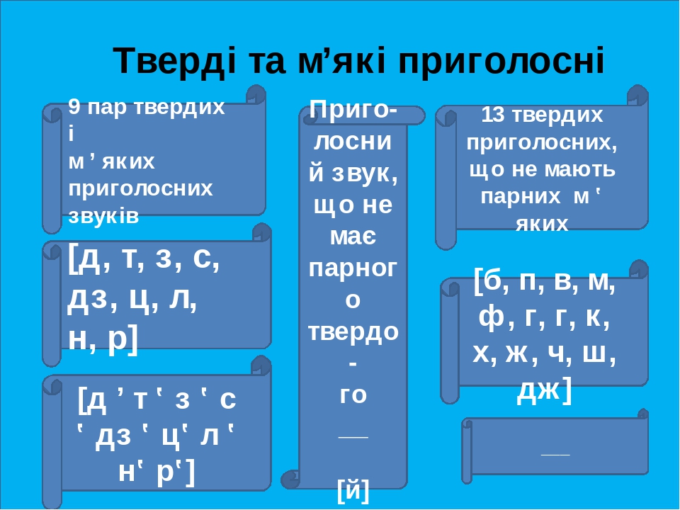 Как называется документ включающий текст рисунки звук и видео где каждый элемент