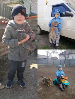 0200dzkz-df18-250x333.jpg