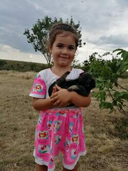 0200dzlw-eecc-250x333.jpg