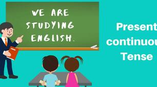 Past Continuous Tense