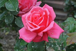 0200e0vx-47aa-325x217.jpg