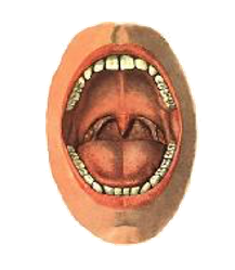 0200e105-827f-232x266.png