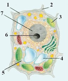 0200e276-514b.jpg