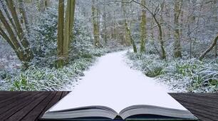 Зимовий книжковий ноктюрн "Вже стрімка зима в дорозі, діти з книгой на порозі"