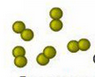 0200e3ye-7be1-249x202.png