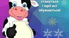 Презентація до уроку з предмета "Дизайн і технології" за темою "СТВОРЕННЯ ЯЛИНКОВИХ ПРИКРАС ВЛАСНОРУЧ"