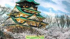 0200e56m-8329-300x168.jpg