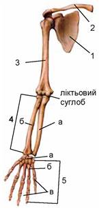 0200e773-b8df.jpg