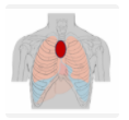 0200e9j8-4009.png