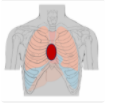 0200e9j9-9fa5.png