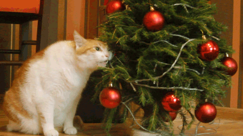 0200ebas-38da-571x320.gif