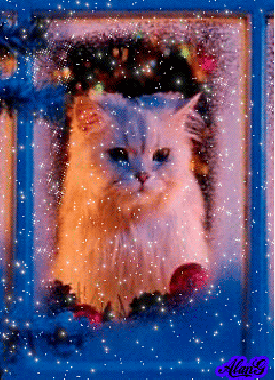 0200ebbu-2d08-596x824.gif
