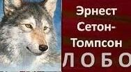  "Лобо" Е.Сетон-Томпсон. Тест.