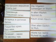 0200ecof-87fb-185x139.png