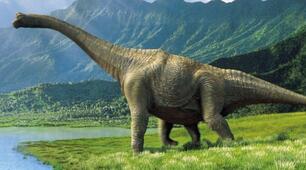 Dinosaur data