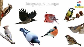 0200ei0g-62b0-355x200.jpg