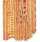 0200ek17-a439-136x143.png