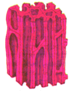 0200ek1g-56ba-143x179.png