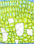 0200ek2b-733f-112x143.png