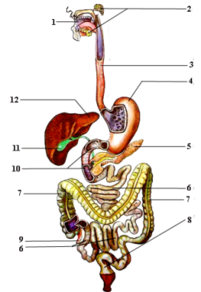 0200ek9w-7884-201x292.png