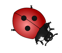 0200eqrb-32a8-206x178.png