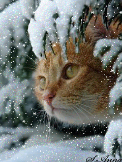 0200eqyx-4319-539x719.gif