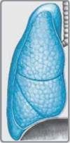 004-168x341.jpg