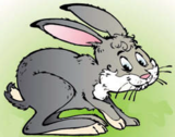 0200erfs-6207-160x126.png