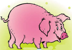 0200erg6-5884-238x165.png