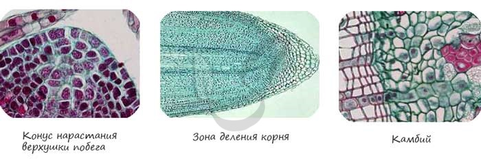 0200erqr-896a.png
