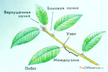 0200erry-e098-215x143.png