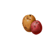 0200eryx-6118-168x168.png