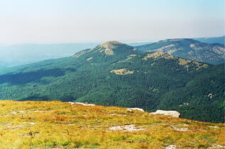 0200eslu-d9b4-317x211.jpg