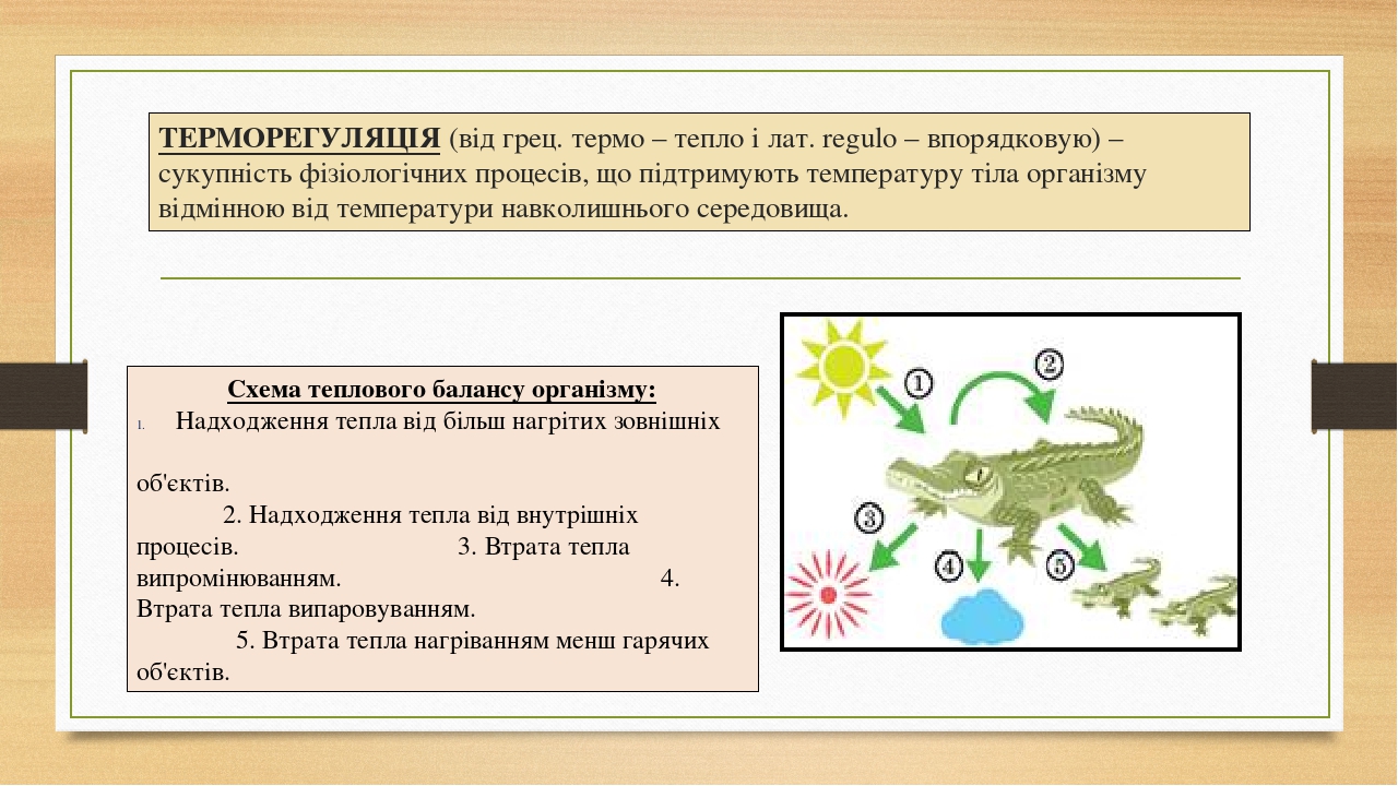 Презентація уроку на тему " Способи терморегуляції організмів"