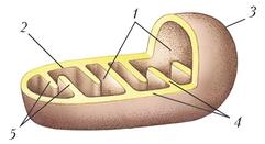 0200exmt-3169-241x131.jpg