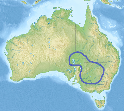 0200eyxz-55a5-433x389.png