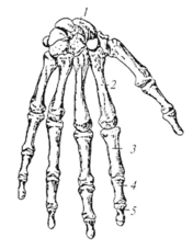 0200f2yq-2061-176x227.png