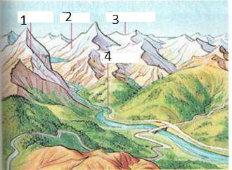 0200f4jl-6f0d.png
