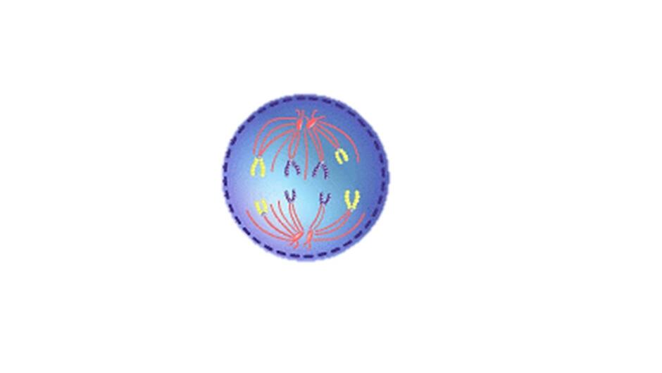 0200f54e-1643-940x529.jpg