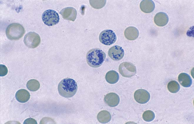 0200f595-b866-660x420.png