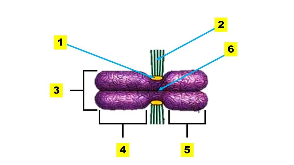 0200f5au-2539-940x529.jpg