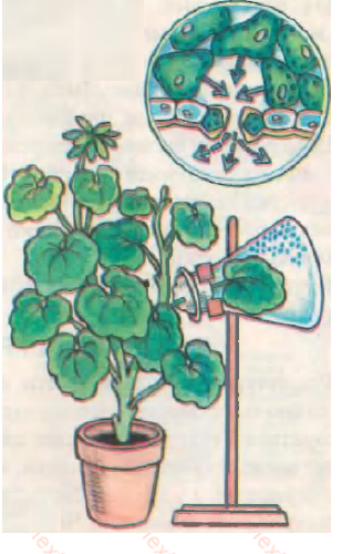 0200f5d6-efff.png